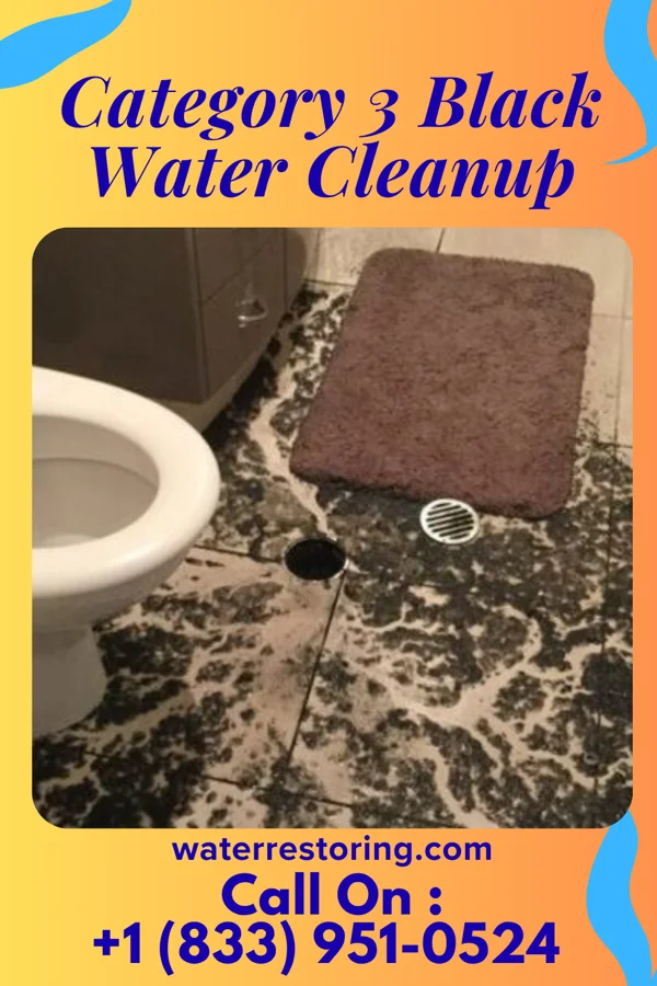 Category 3 Black Water Cleanup in Beverly, IL