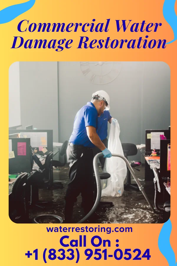 Commercial Water Damage Restoration in Beverly, IL