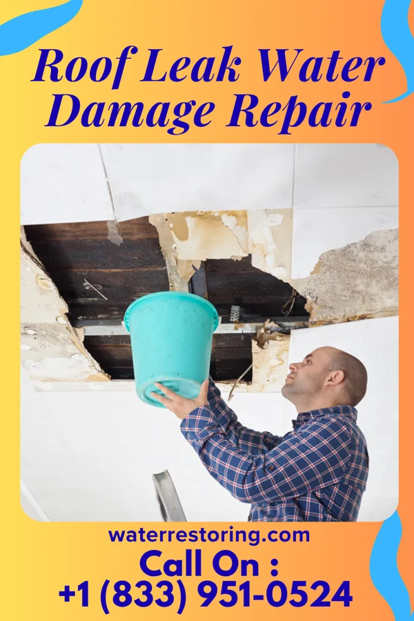 Roof Leak Water Damage Repair in Beverly, IL
